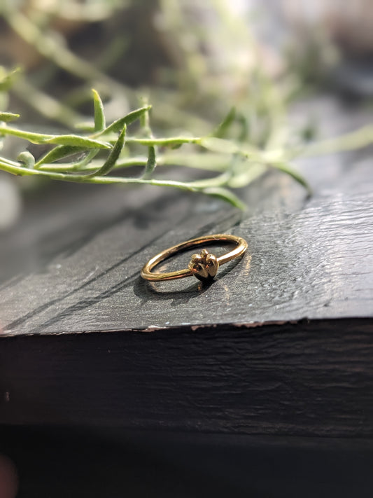 The Golden Apple Ring